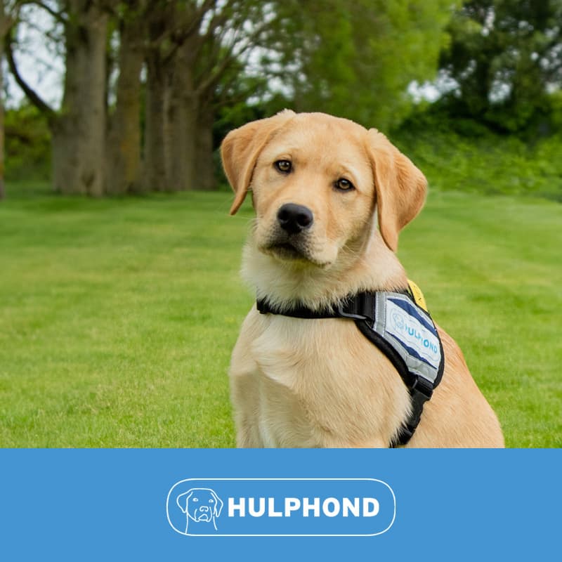Hulphond yourgift cadeaukaart doneren