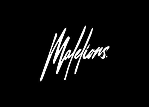 Yourgift besteden logo malelions