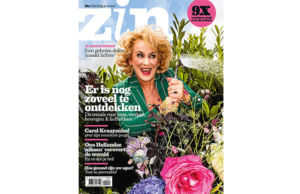 Zin magazine