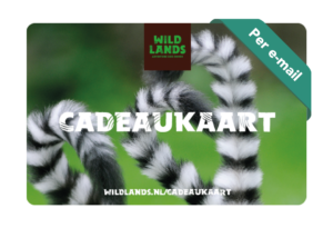 Wildlands Cadeaukaart digitaal yourgift